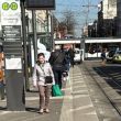 atropellamiento Mannheim Alemania muerto atropellamiento Mannheim Alemania muerto