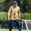 Pumas
