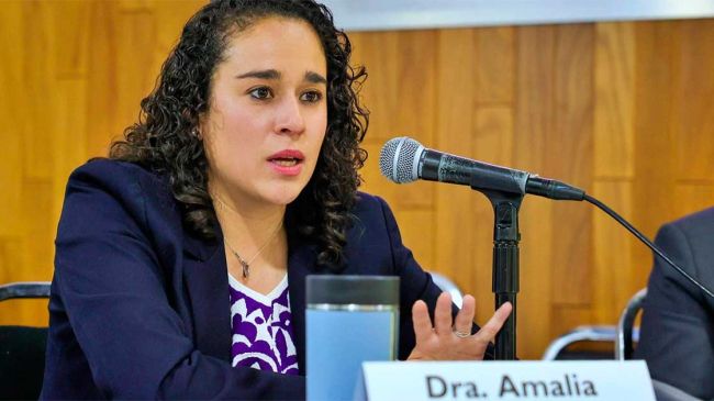 amalia-pulido.jpg