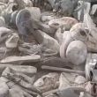 FOTOS  Hallan crematorio clandestino en Jalisco con cientos de pares de zapatos