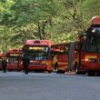 Metrobus-operaran-Linea.jpg