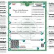 acta de nacimiento 
