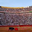 avanza_prohibicion_de_corridas_de_toros_con_violencia.jpg