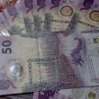 economia mexicana caeria 1 punto tres por ciento OCDE