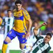 Tigres