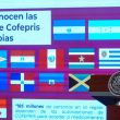 Patria Cofepris Alejandro Svarch Pirola