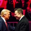 Trump Musk