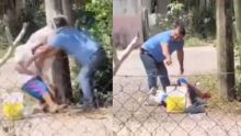 Abuelito es hospitalizado tras ser atacado por enjambre de abejas en Tabasco