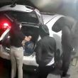 Asalto en Cuernavaca Asalto en Cuernavaca