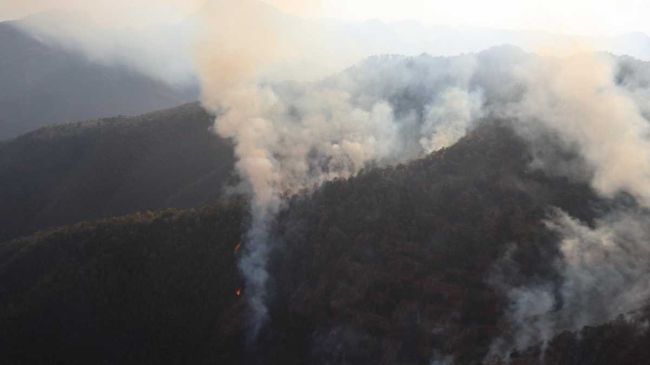 Incendio forestal en Tlahuiltepa, Hidalgo, afecta 10 hectáreas