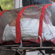 Sheinbaum atribuye pico de muertes por Covid-19 a un ajuste
