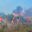 Incendios forestales Incendios forestales