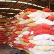 Cafetaleros de Chiapas reactivan exportación a EU tras incertidumbre arancelaria