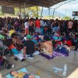 resuelve Mexico peticiones asilo Acnur