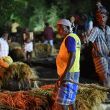 India, alcohol adulterado India, alcohol adulterado
