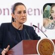 Se investiga asesinato de la tiktoker Valeria Márquez en Jalisco Sheinbaum