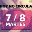 Hoy no circula-02 (1) (1).jpg