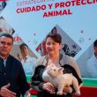 Tlalnepantla cuidado animal