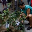 Chapingo ONG UNAM reforestacion urbana CDMX calor