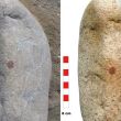 Huella dactilar