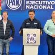 PAN defiende triunfos estatales ve 10 por ciento eleccion judicial