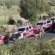 FOTOS Y VIDEO | Hallan restos humanos embolsados en carretera de Puebla