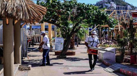 Casos de dengue se multiplican por 38 en Guerrero