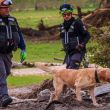 Fotos| Inician labores de búsqueda en Texas rescatistas y binomios caninos de NL Fotos| Inician labores de búsqueda en Texas rescatistas y binomios caninos de NL