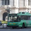 transporte_publico_gratuito-1 (1) (1).jpg