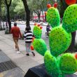 Paseo Reforma prometen libre ambulantes Paseo Reforma prometen libre ambulantes