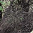 hallan cuerpo empaquetado Ajusco Tlalpan
