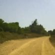 Rally Rally
