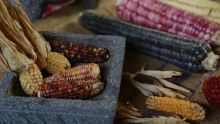 aranceles EU catastrofe alimentaria UNTA