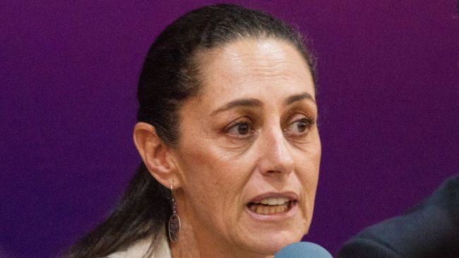 shainbaum (1).jpg