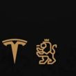 Elon Musk presenta el proyecto de Tesla en Nuevo León