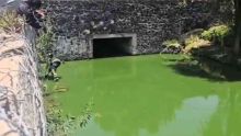 Hallan cuerpo de una mujer en Canal Nacional, en Coyoacán