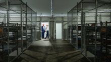 ordena jueza desmantelar Alligator Alcatraz 60 dias