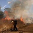 Incendios forestales Incendios forestales