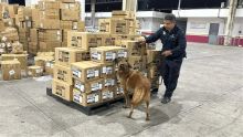 Mexico encabeza pirateria AL