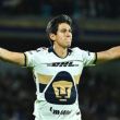 pumas.jpg pumas.jpg