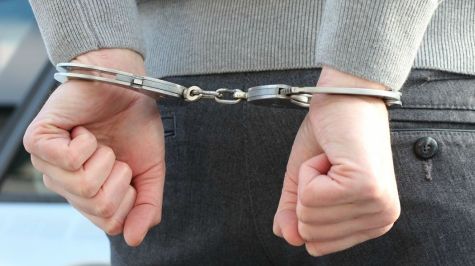 Detienen a hombres por talar árboles en Tlalpan