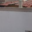 caen dos presuntos rateros Barrio Norte CDMX.jpg caen dos presuntos rateros Barrio Norte CDMX.jpg