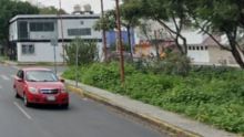 cae pareja armada hasta dientes Gertrudis Sanchez.jpg