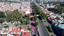 caminata-contra-cancer-de-mama.jpg