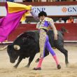 corridas de toros