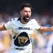 Pumas