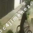 ladron roba menor CTM Culhuacan desnudo.jpg ladron roba menor CTM Culhuacan desnudo.jpg