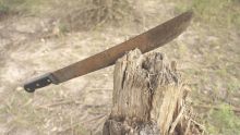 detienen hombre machete Nueva Atzacoalco.jpg