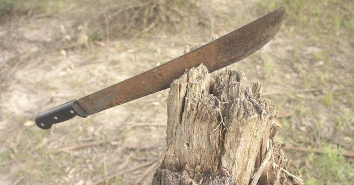 Detienen a hombre por amenazar a sus hermanas con un machete en Nueva ...