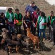 Perritos rescatados.jpg